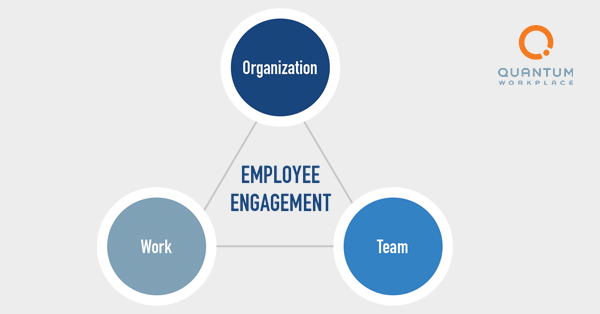 What Is Employee Engagement? What, Why, And How To Improve It